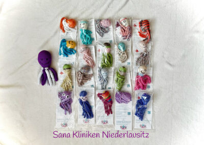 2025_08_29_Bestellung_20 Stck.