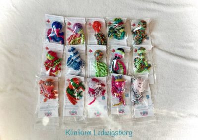 2026_01_06_Ludwigsburg_15 Stck.s