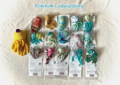 2026_04_29_Ludwigsburg_15 Stck._oktopus
