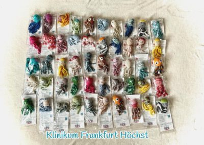 2026_05_08_Bestellung_FF Höchst_oktopus