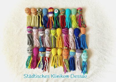 2026_05_24_Dessau_oktopus